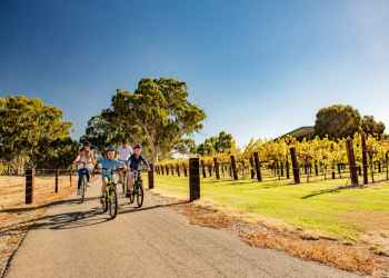 SA’s best cycling trails: 10 rides for every kind of cyclist