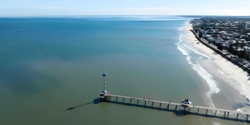 Your summer guide to SA’s algal bloom