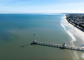 Your summer guide to SA’s algal bloom