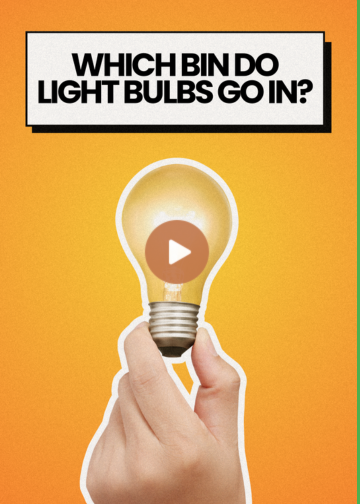 Which bin do lightbulbs go in?