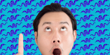 The real risk of snakes and spiders in SA