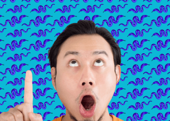 The real risk of snakes and spiders in SA