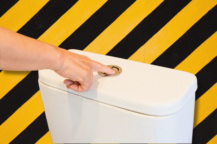 Fatbergs, flush fails and freaky finds: What’s been going down our pipes