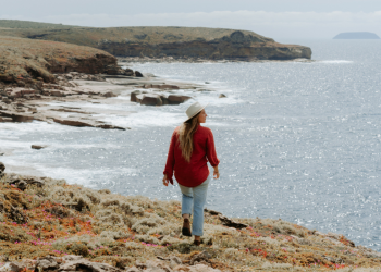 The SA island that’s coming back to life