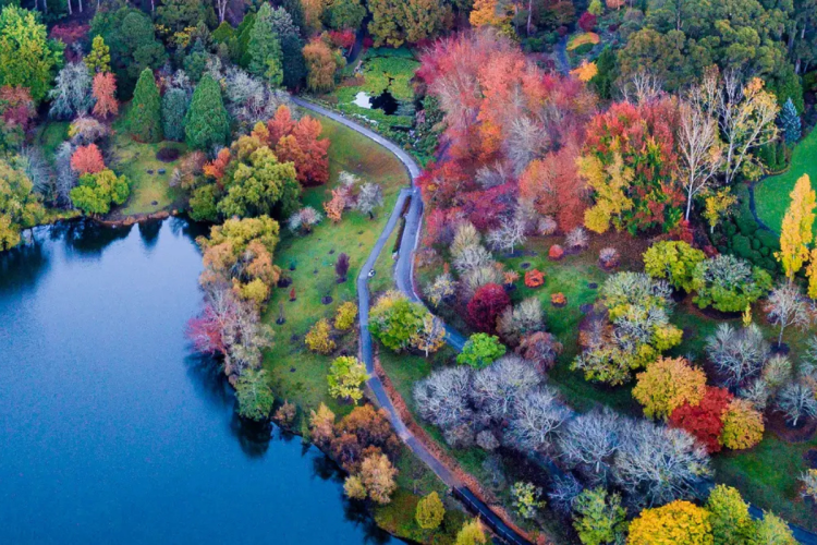 Eight easy Adelaide bushwalks to try this autumn