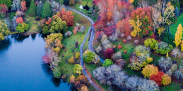 Eight easy Adelaide bushwalks to try this autumn