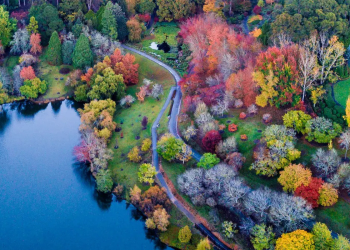 Eight easy Adelaide bushwalks to try this autumn