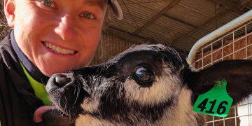 How Narelle turned her family farm into a tourist hit