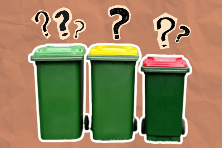Which bin does that actually go in?