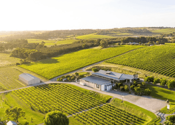 The McLaren Vale cellar door that beat Bordeaux