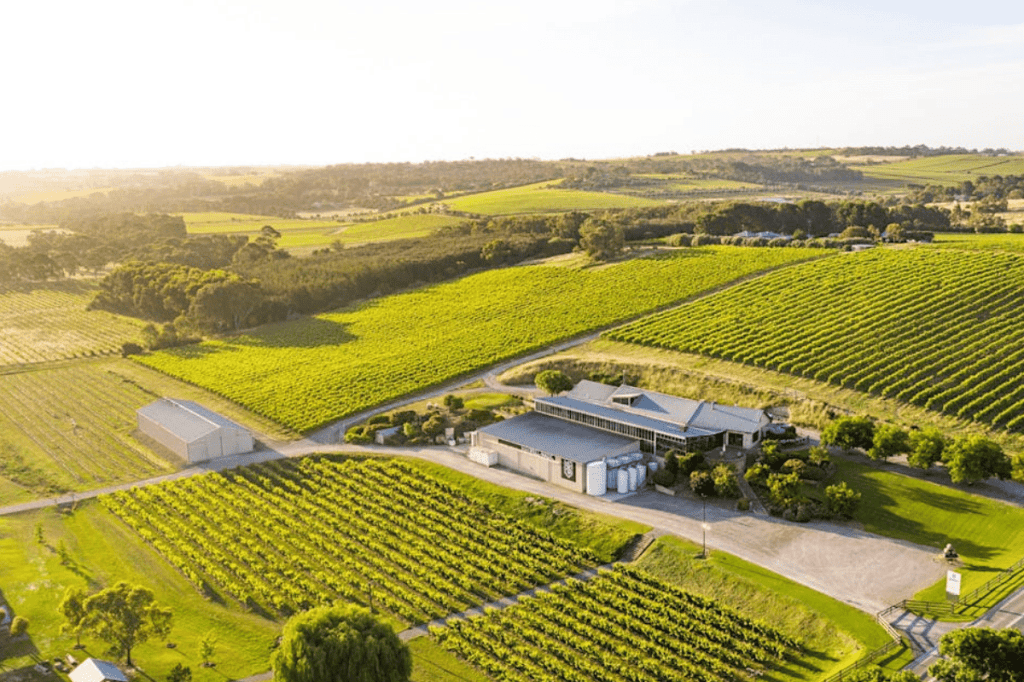 Maxwell Wines cellar door in McLaren Vale