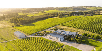 The McLaren Vale cellar door that beat Bordeaux