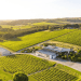 The McLaren Vale cellar door that beat Bordeaux