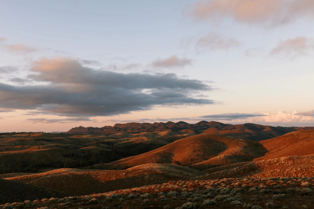 The Flinders Ranges, are on the lands of the Adnyamathanha people.