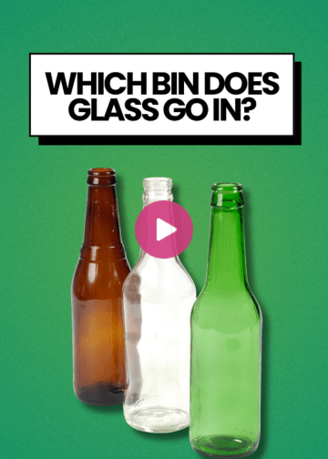 Which bin does glass go in?