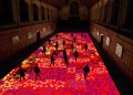 Illuminate Adelaide’s ultimate free night out