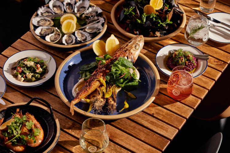 16 things to do in SA this August