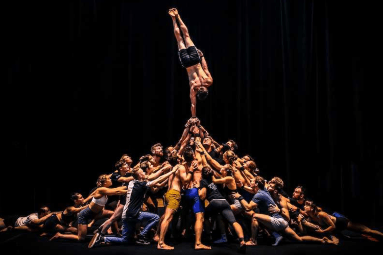How an Adelaide circus company conquered the world
